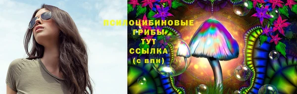 спиды Воткинск