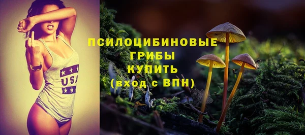 сатива Осташков